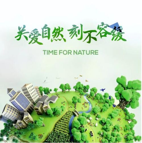 世界環境日 值得你收藏的的環保家居軟裝好物